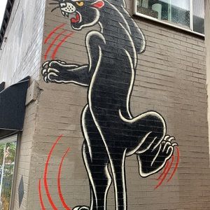 Meet your Posher, Janice